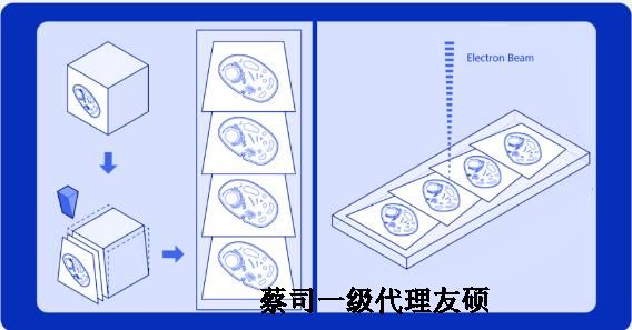 南宁蔡司南宁扫描电镜