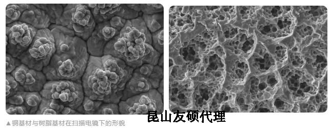 南宁蔡司南宁扫描电镜